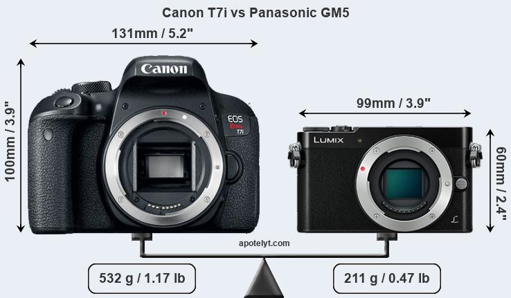 Size Canon T7i vs Panasonic GM5