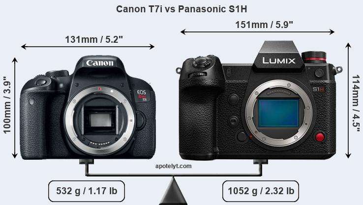 Size Canon T7i vs Panasonic S1H