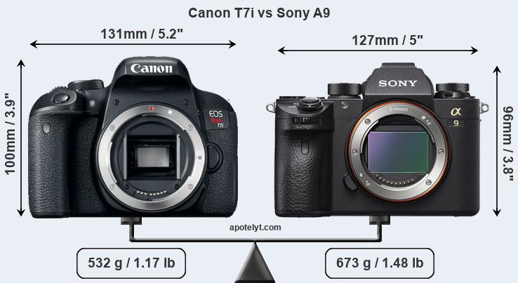 Size Canon T7i vs Sony A9
