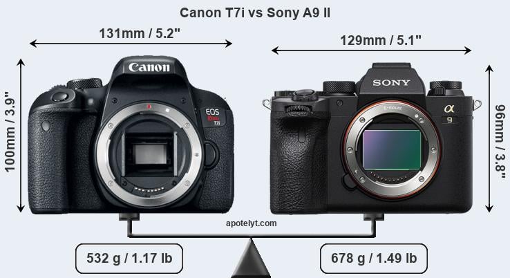 Size Canon T7i vs Sony A9 II
