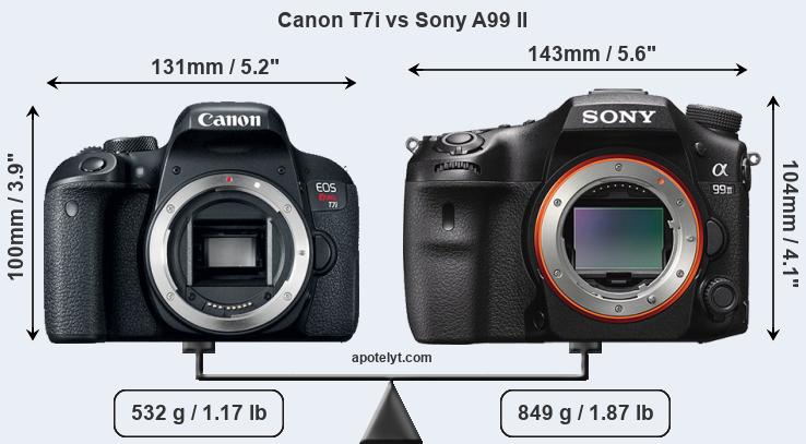 Size Canon T7i vs Sony A99 II