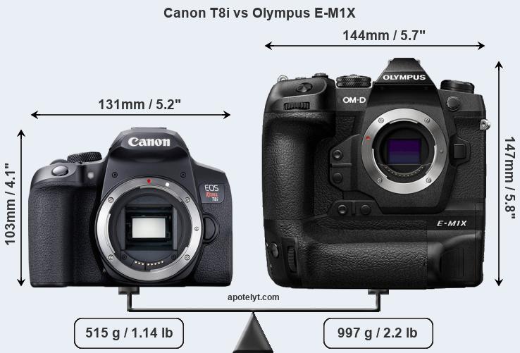 Size Canon T8i vs Olympus E-M1X