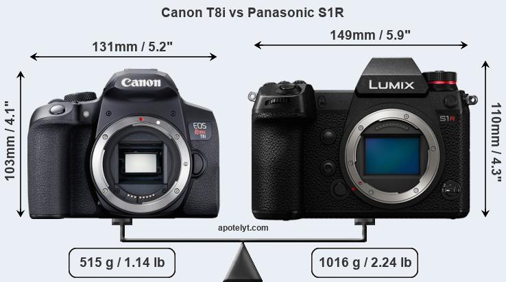 Size Canon T8i vs Panasonic S1R