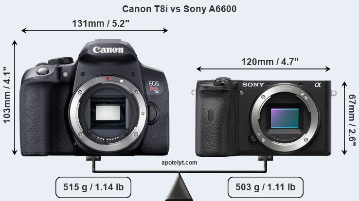 Size Canon T8i vs Sony A6600