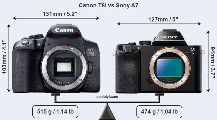 Size Canon T8i vs Sony A7