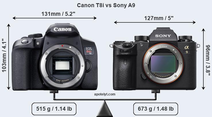 Size Canon T8i vs Sony A9