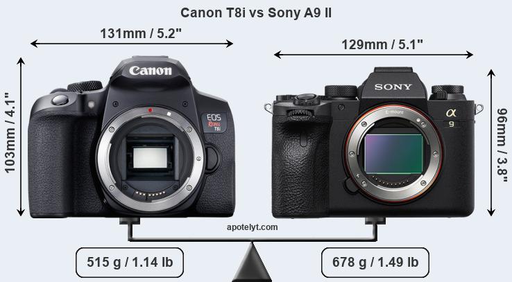 Size Canon T8i vs Sony A9 II