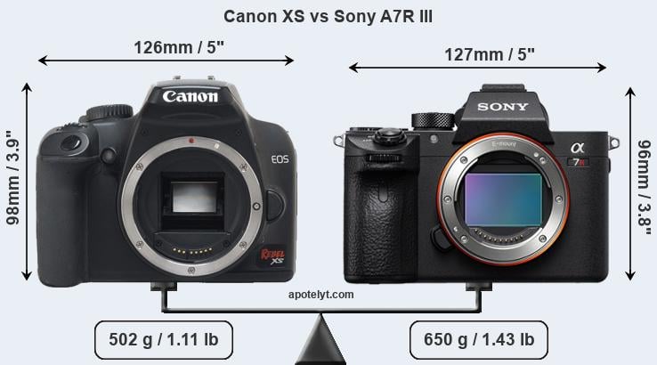 Size Canon XS vs Sony A7R III