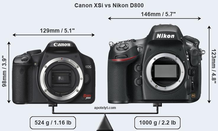 Size Canon XSi vs Nikon D800
