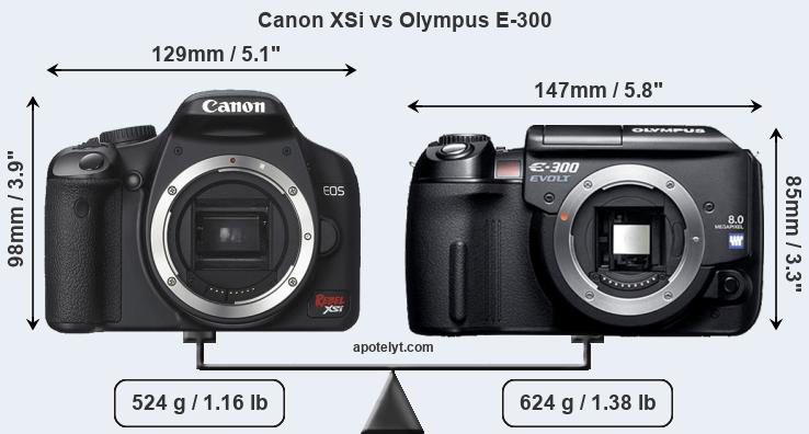 Size Canon XSi vs Olympus E-300