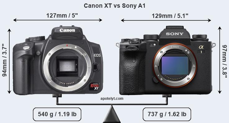 Size Canon XT vs Sony A1