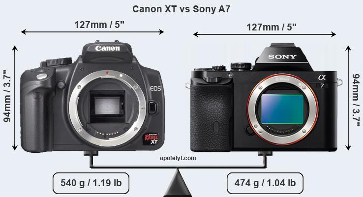 Size Canon XT vs Sony A7