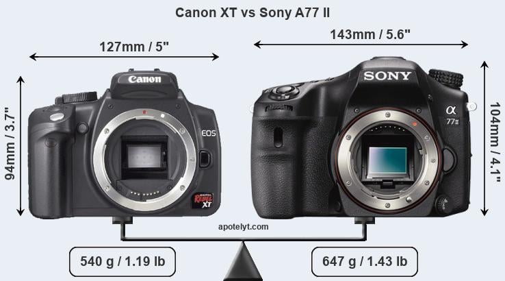 Size Canon XT vs Sony A77 II