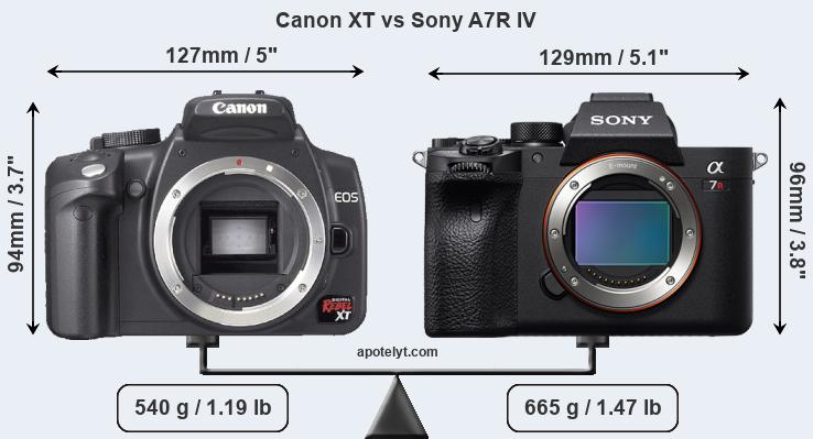 Size Canon XT vs Sony A7R IV