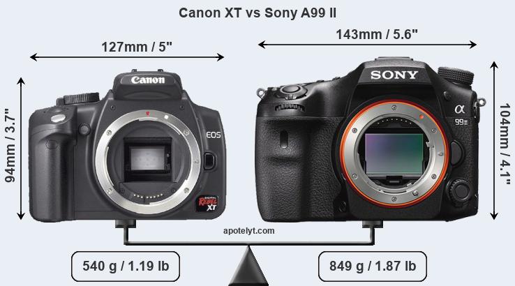 Size Canon XT vs Sony A99 II