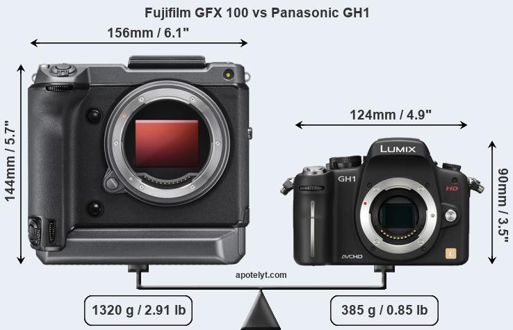 Size Fujifilm GFX 100 vs Panasonic GH1