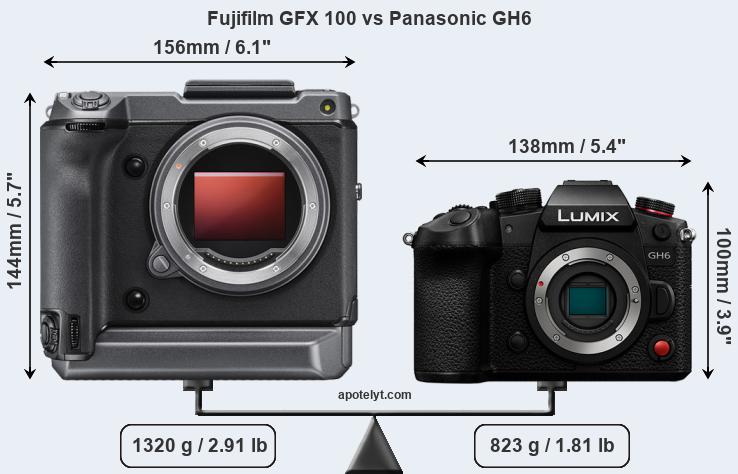Size Fujifilm GFX 100 vs Panasonic GH6