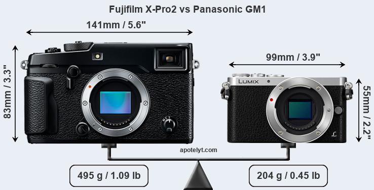 Size Fujifilm X-Pro2 vs Panasonic GM1