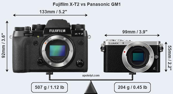 Size Fujifilm X-T2 vs Panasonic GM1