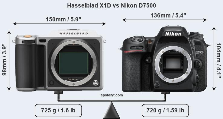 Size Hasselblad X1D vs Nikon D7500