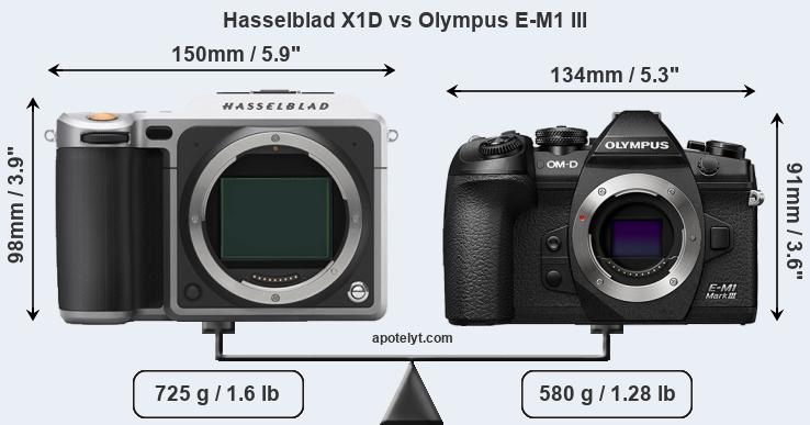Size Hasselblad X1D vs Olympus E-M1 III