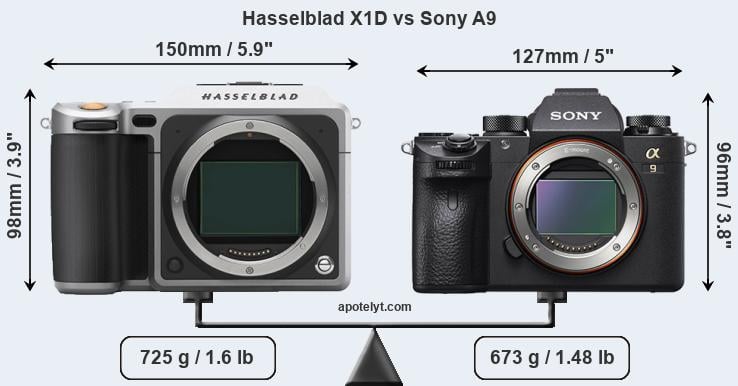 Size Hasselblad X1D vs Sony A9