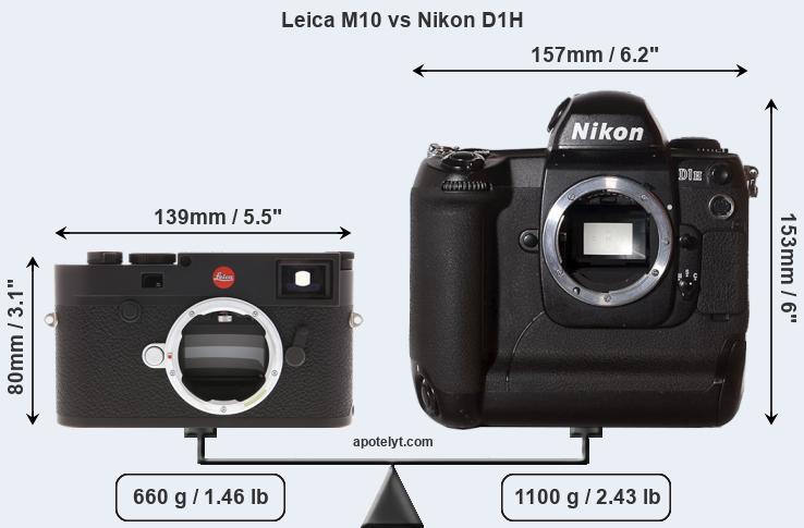 Size Leica M10 vs Nikon D1H