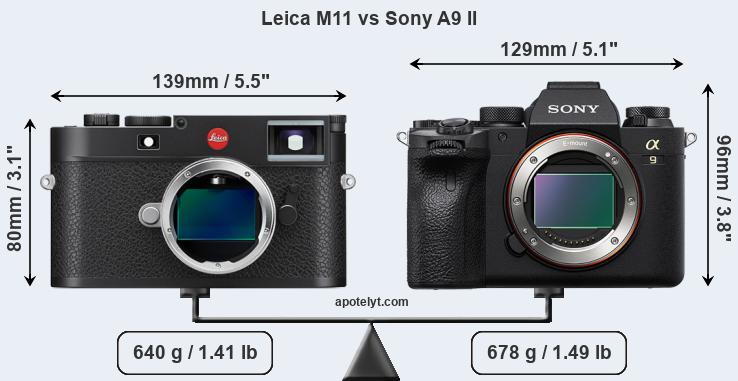 Size Leica M11 vs Sony A9 II