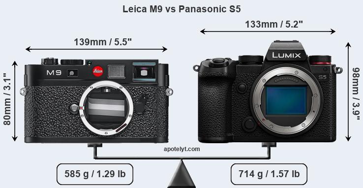Size Leica M9 vs Panasonic S5