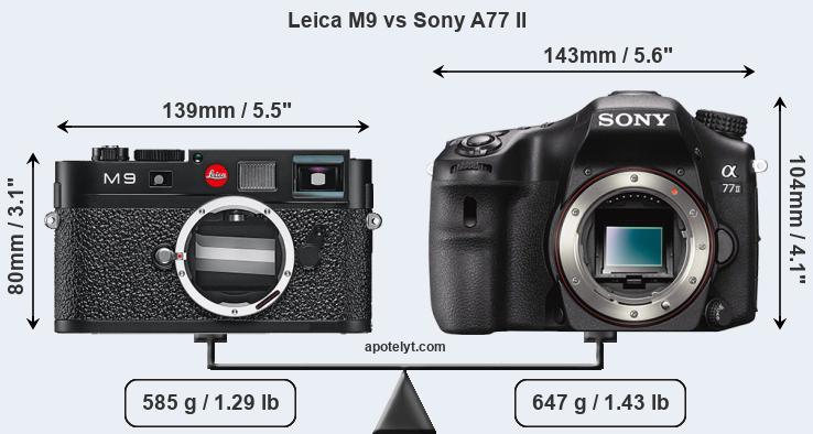 Size Leica M9 vs Sony A77 II