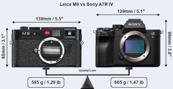 Size Leica M9 vs Sony A7R IV