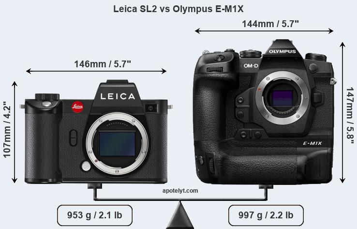 Size Leica SL2 vs Olympus E-M1X