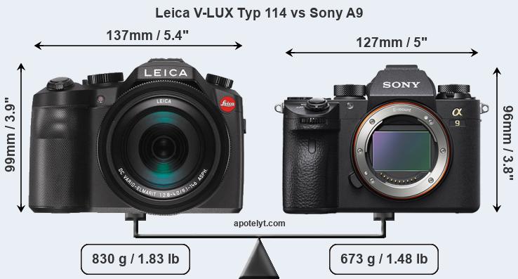 Size Leica V-LUX Typ 114 vs Sony A9