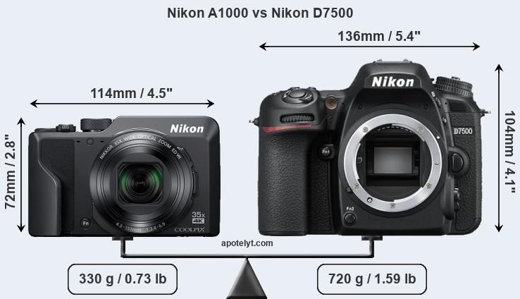 Size Nikon A1000 vs Nikon D7500
