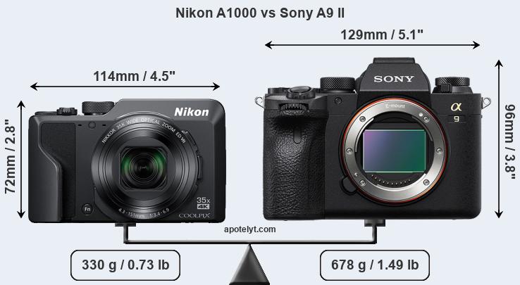 Size Nikon A1000 vs Sony A9 II