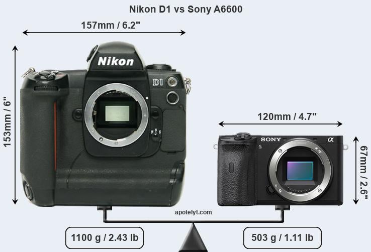 Size Nikon D1 vs Sony A6600