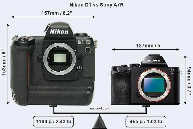Size Nikon D1 vs Sony A7R