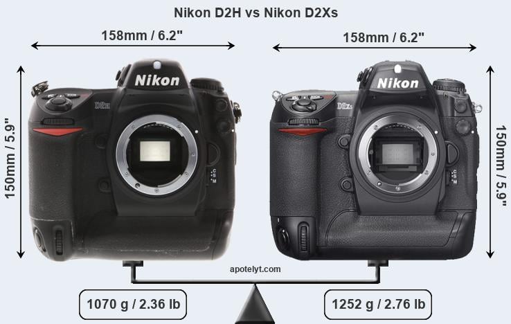 Size Nikon D2H vs Nikon D2Xs