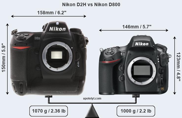 Size Nikon D2H vs Nikon D800