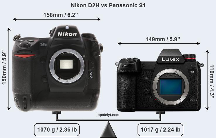 Size Nikon D2H vs Panasonic S1