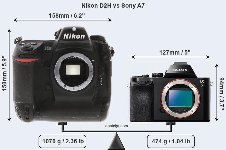 Size Nikon D2H vs Sony A7