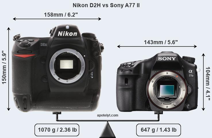 Size Nikon D2H vs Sony A77 II