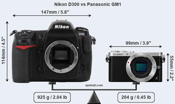 Size Nikon D300 vs Panasonic GM1