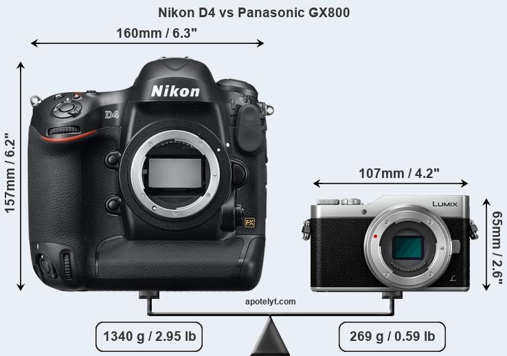 Size Nikon D4 vs Panasonic GX800