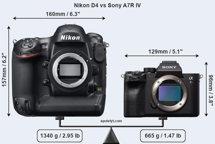 Size Nikon D4 vs Sony A7R IV
