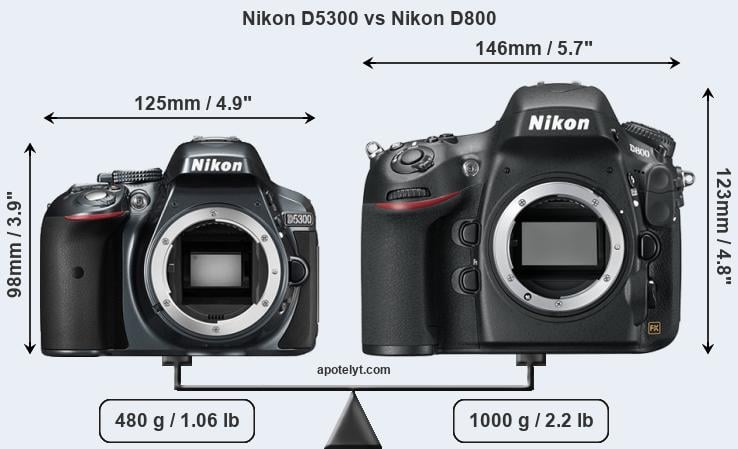 Size Nikon D5300 vs Nikon D800
