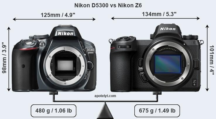 Nikon D5300 vs Nikon Z6 Comparison Review