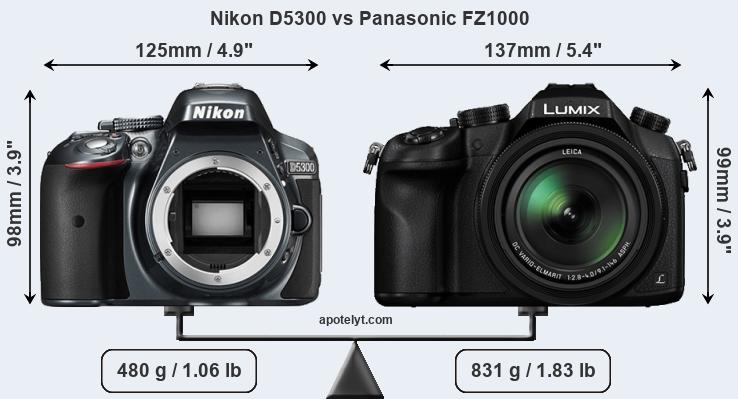 Size Nikon D5300 vs Panasonic FZ1000