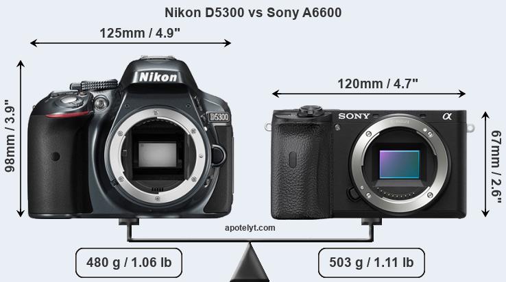 Size Nikon D5300 vs Sony A6600