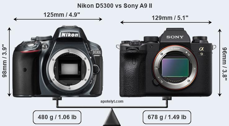 Size Nikon D5300 vs Sony A9 II